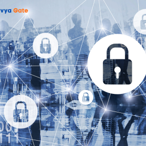 Orvya Gate Cybersecurity Consultancy